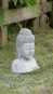 morepic-5